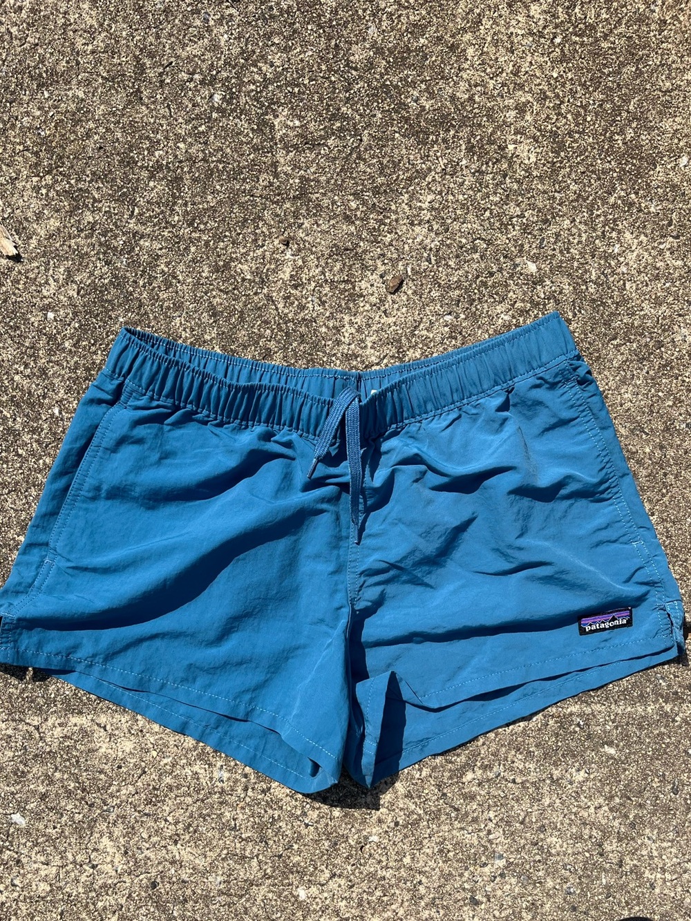 Patagonia  Blue Lightweight Stretch Shorts